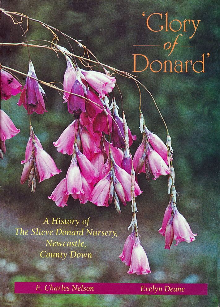 Glory of Donard jpeg